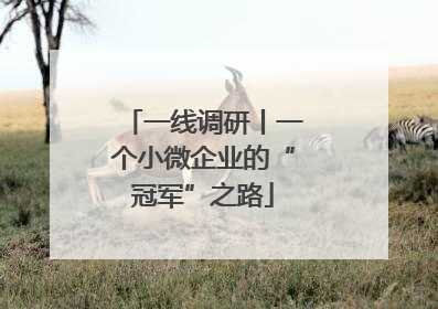 一线调研丨一个小微企业的“冠军”之路
